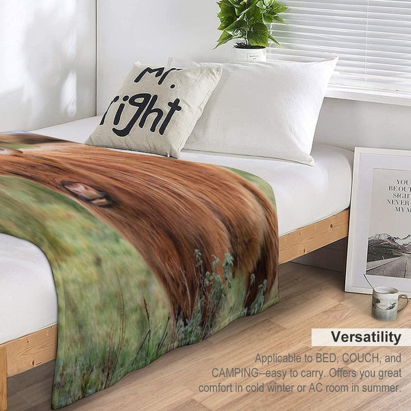 Long Haired Highland Cattle - Highland Cow, Highlander, Heilan Coo - Thurso, The Highlands, Scotland All-season Throw Blanket