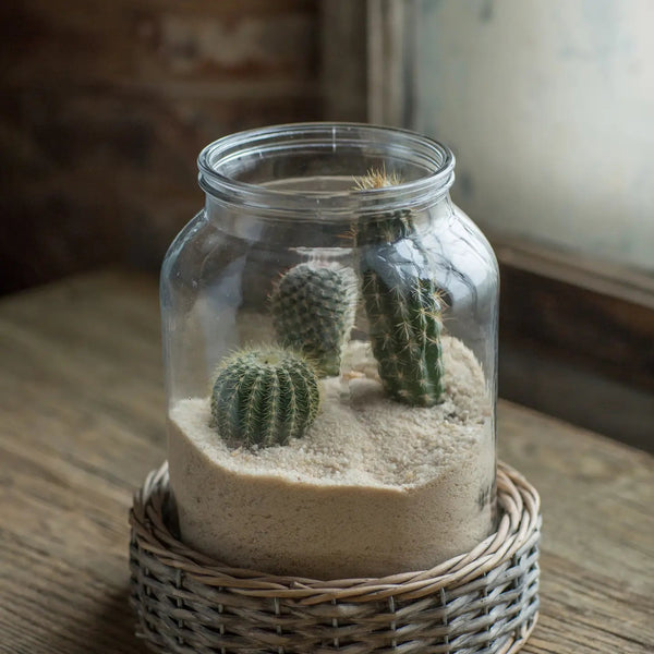 Glass and Wicker Terrarium - Cylinder VagabondVintage