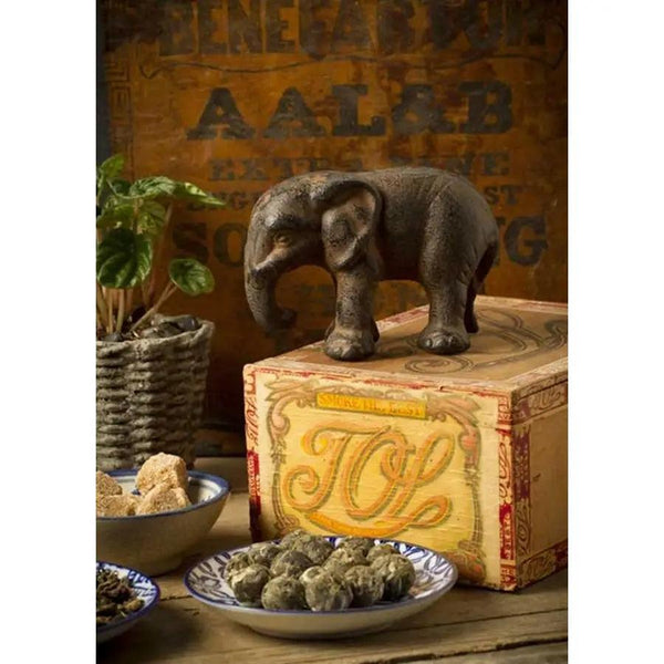 Cast Iron Elephant