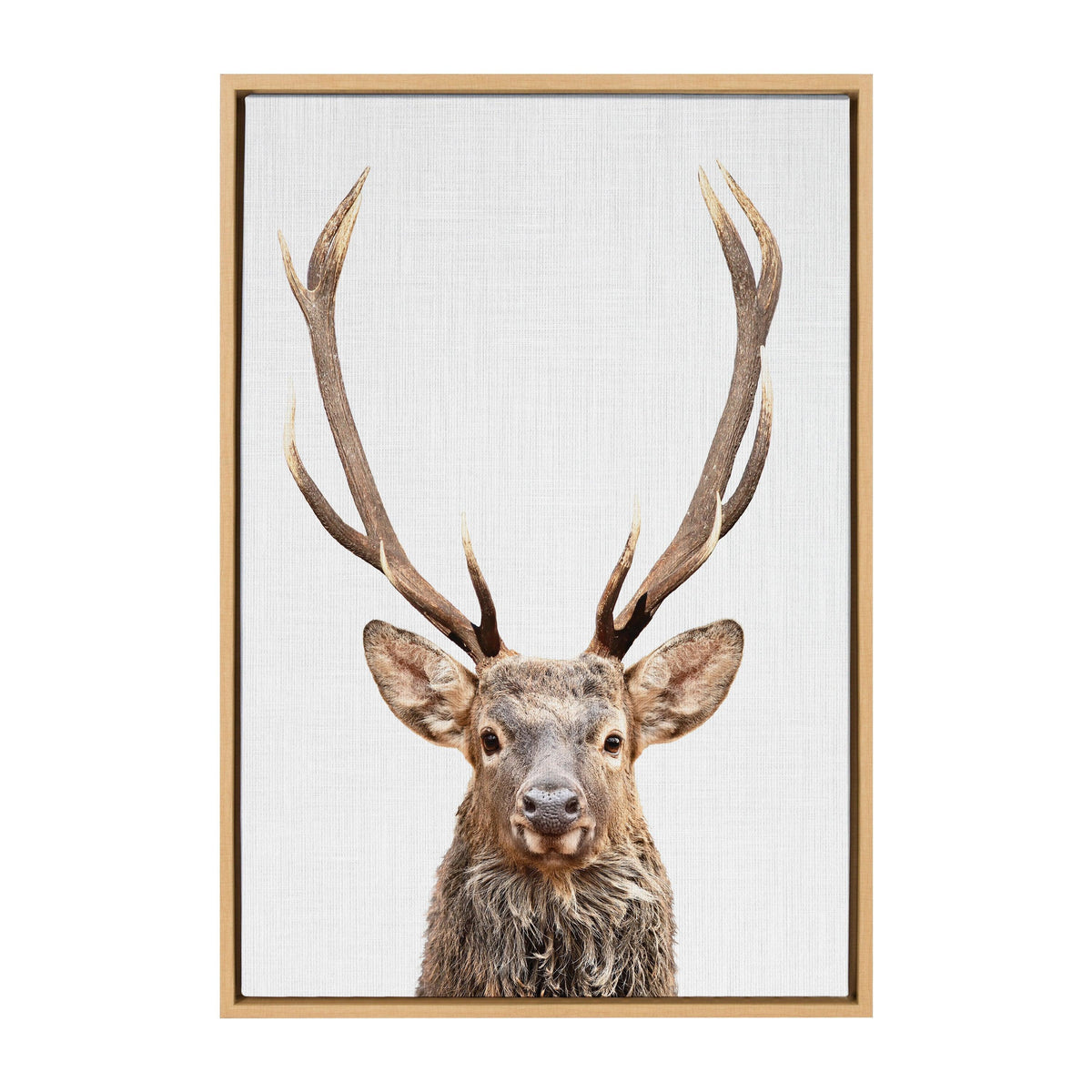 Sylvie The Red Deer Color Framed Canvas by Simon Te of Tai Prints