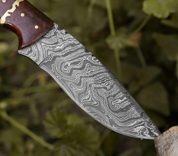 Fang Damascus Camp Knife with Rose Wood Handle - Gifts for You 'n Me