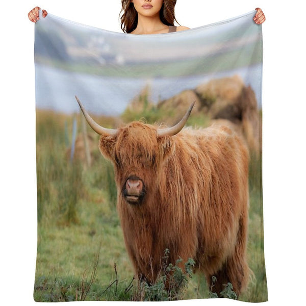Long Haired Highland Cattle - Highland Cow, Highlander, Heilan Coo - Thurso, The Highlands, Scotland All-season Throw Blanket
