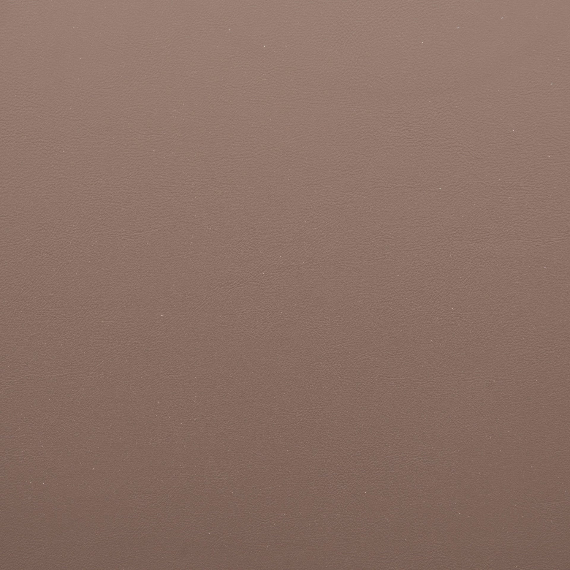 Pioro Dining Chair (Set of 2) Brown & Natural