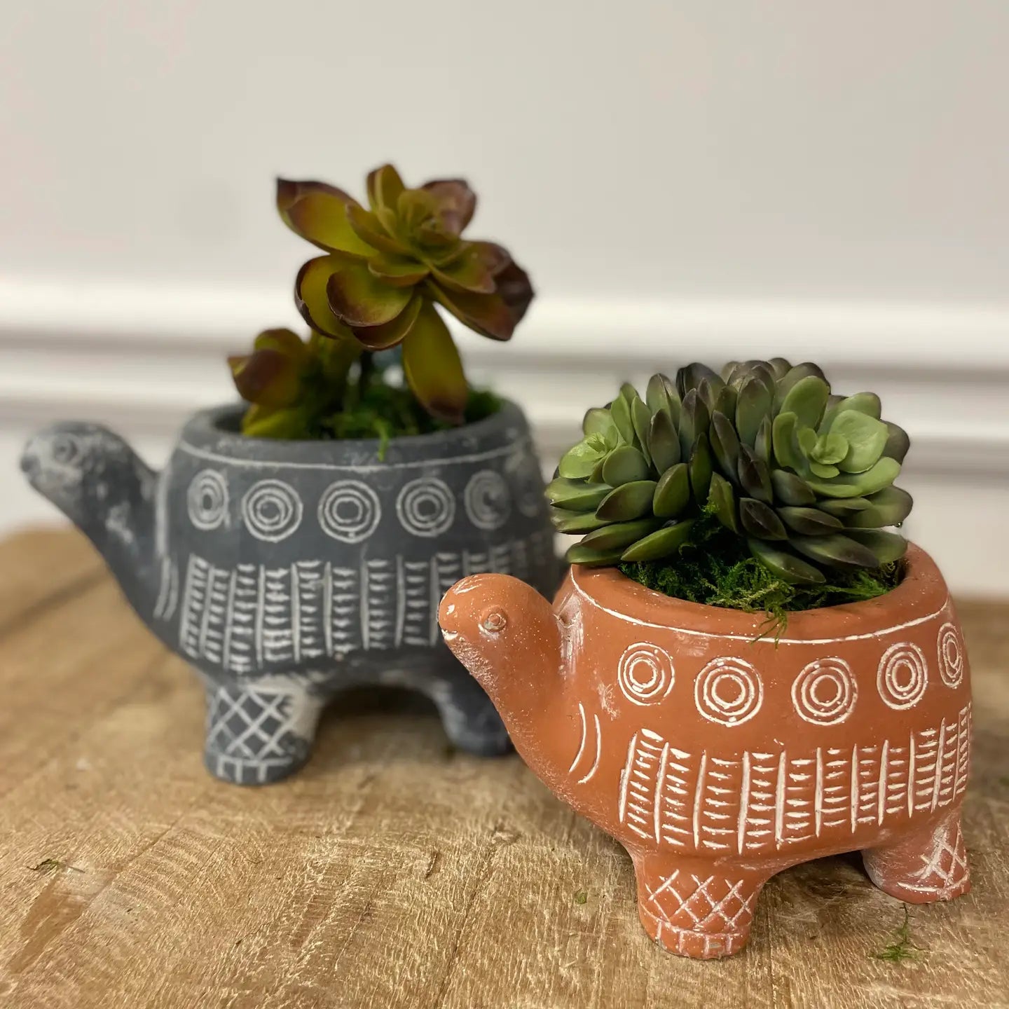 CEMENT CYAN TURTLE PLANTER