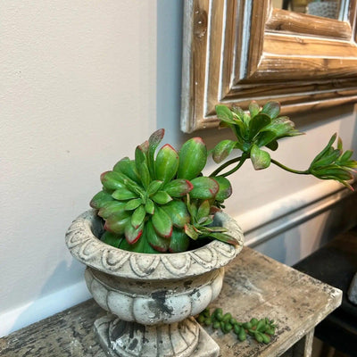 Cement Planter Urn