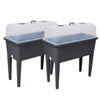 2 PCS Raised Garden Bed with Ventilated Transparent Greenhouse Lid