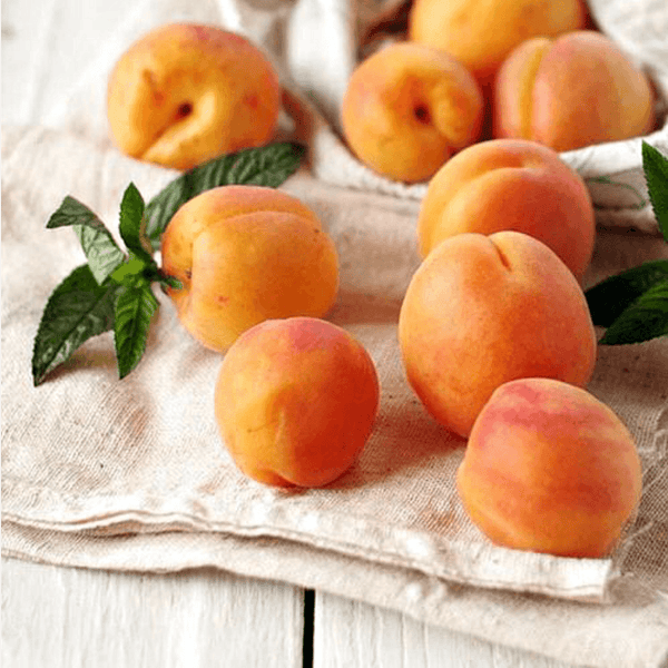 Fig Apricot