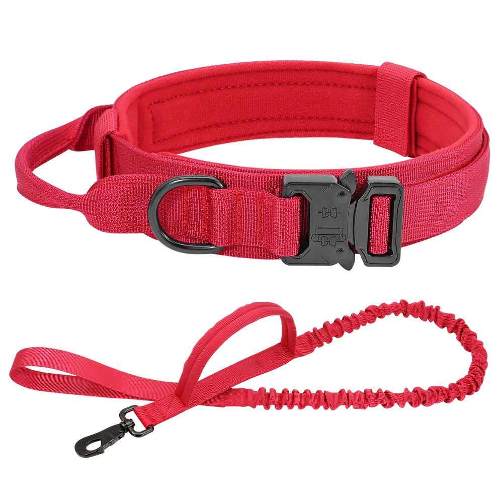 Durable Dog Collar & Leash Set — Adjustable, Comfortable, Everyday Use
