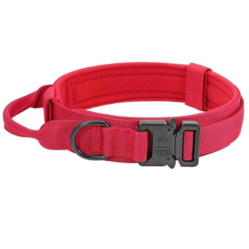 Durable Dog Collar & Leash Set — Adjustable, Comfortable, Everyday Use