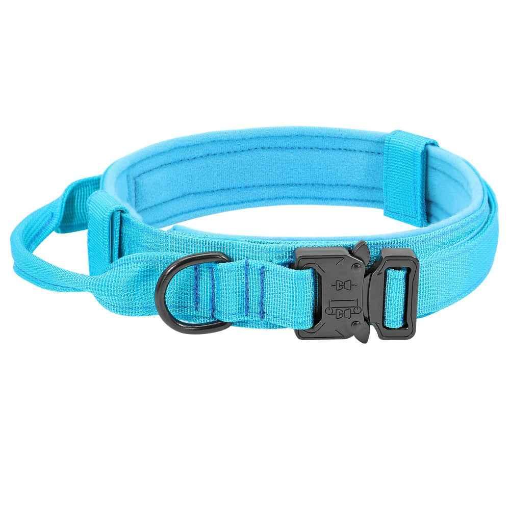 Durable Dog Collar & Leash Set — Adjustable, Comfortable, Everyday Use
