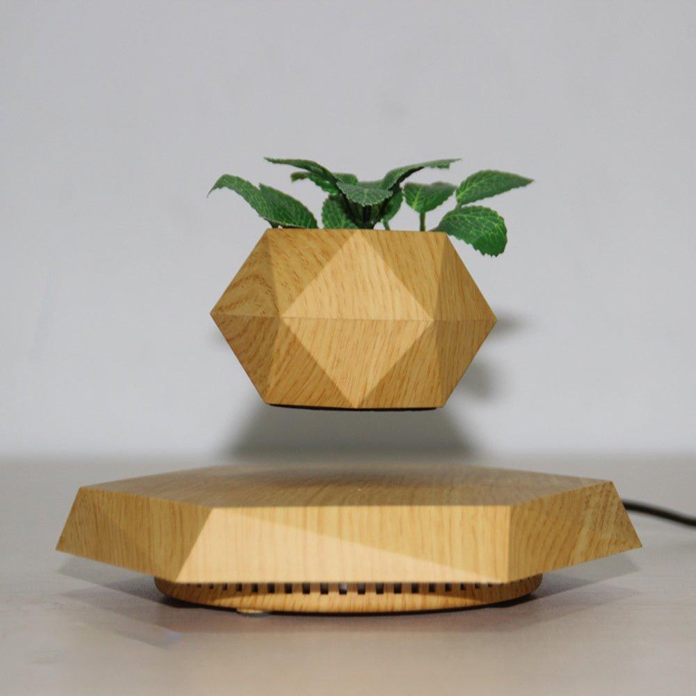 Floating Flower Pot
