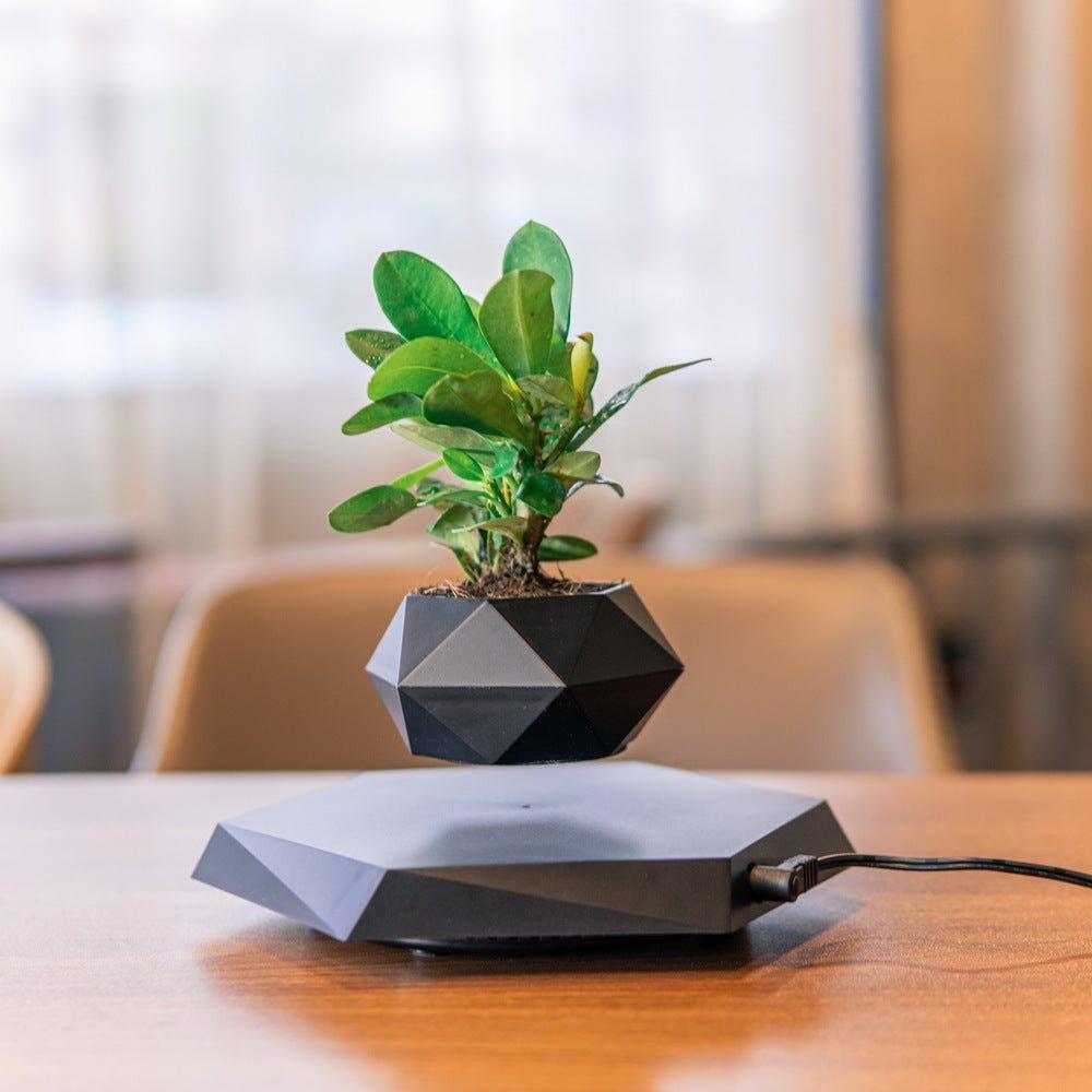 Floating Flower Pot