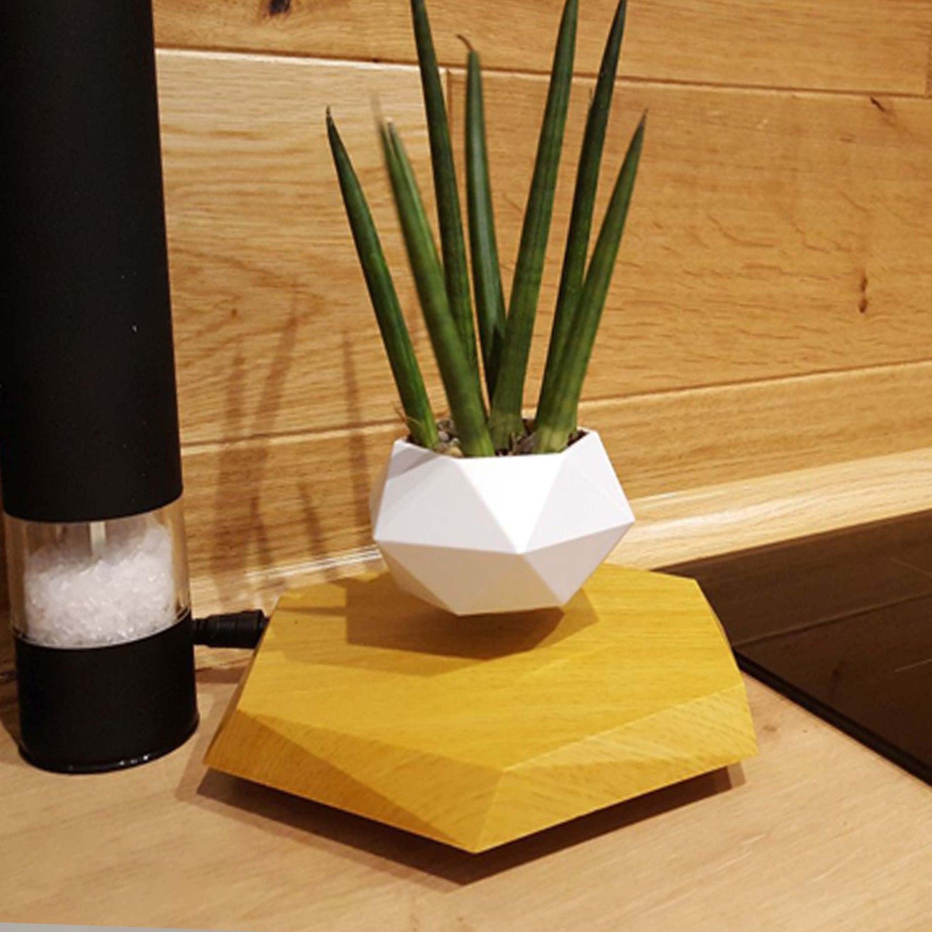 Floating Flower Pot