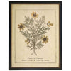 Flowers from The Mount of Olives Victorian Vintage Bookplate Print in Black Beaded Frame