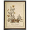 Flowers of Bethlehem Victorian Vintage Bookplate Print in Black Beaded Frame