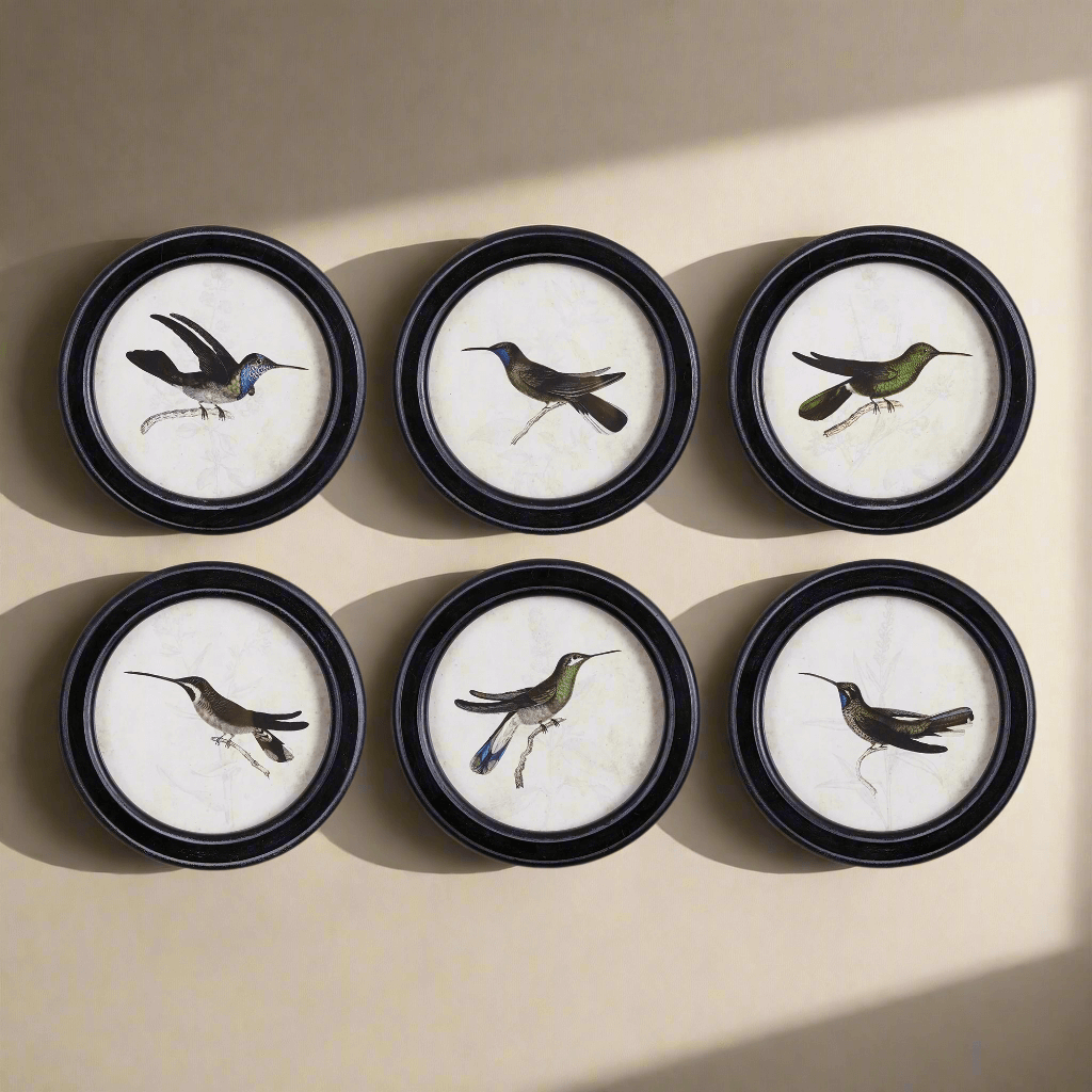 Framed Vintage Hummingbird Prints (Set of 6)