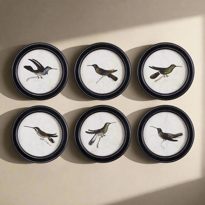 Framed Vintage Hummingbird Prints (Set of 6)