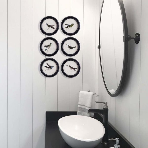 Framed Vintage Hummingbird Prints (Set of 6)