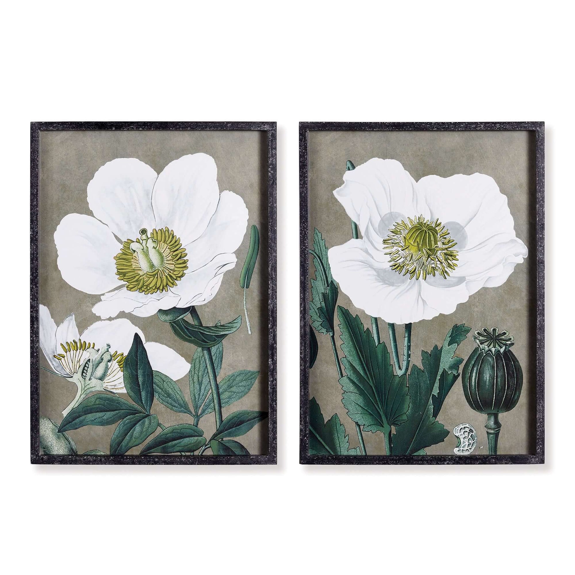 Framed Vintage Poppy Wall Art Prints (Set of 2)