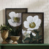 Framed Vintage Poppy Wall Art Prints (Set of 2)