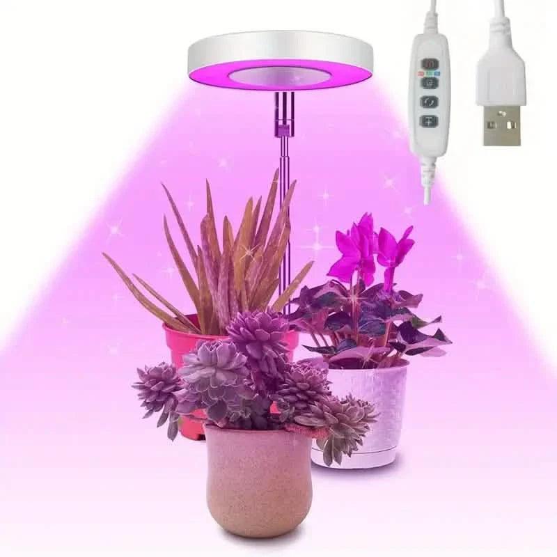 Full Spectrum LED Halo Plant Light With Stand Height Adjustable Auto Timer
