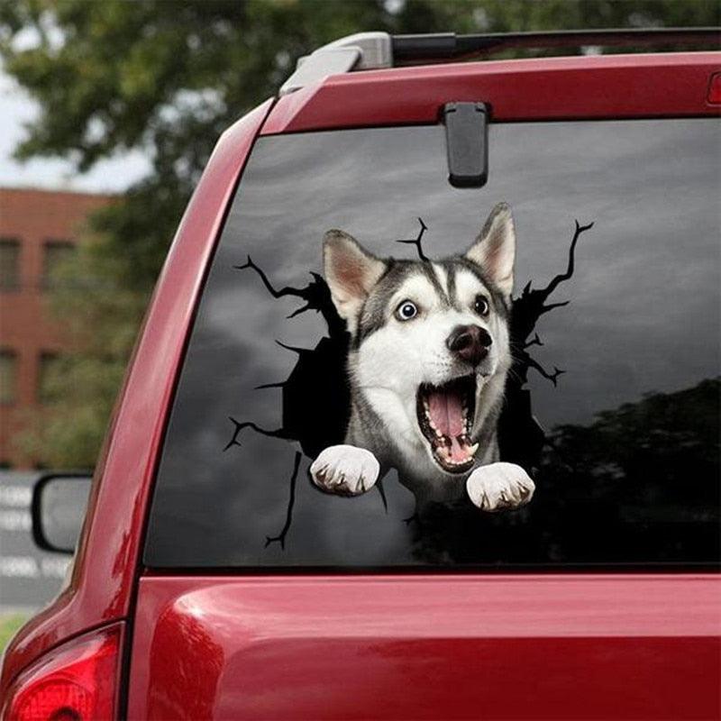 Funny Dog Head In The Crack Vinyl Car Funny Dog Head In The Crack Vinyl Car Stickers Decals Motorcycle Accessories Car-window Decorative Goods Broken Glass Sticker Car Stickers Decals Motorcycle Accessories Car-window Decorative Goods Pvc Car Sticker
