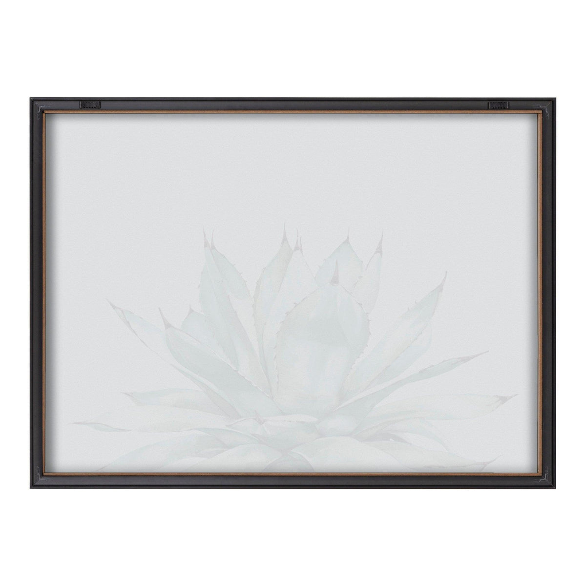 Blake Parrys Agave Framed Printed Glass by Emily Marie Watercolors