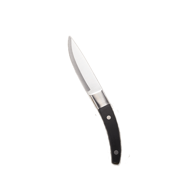 Corby Hall Steak Knives Cordoba Steak Knife 10 Inch| J0097