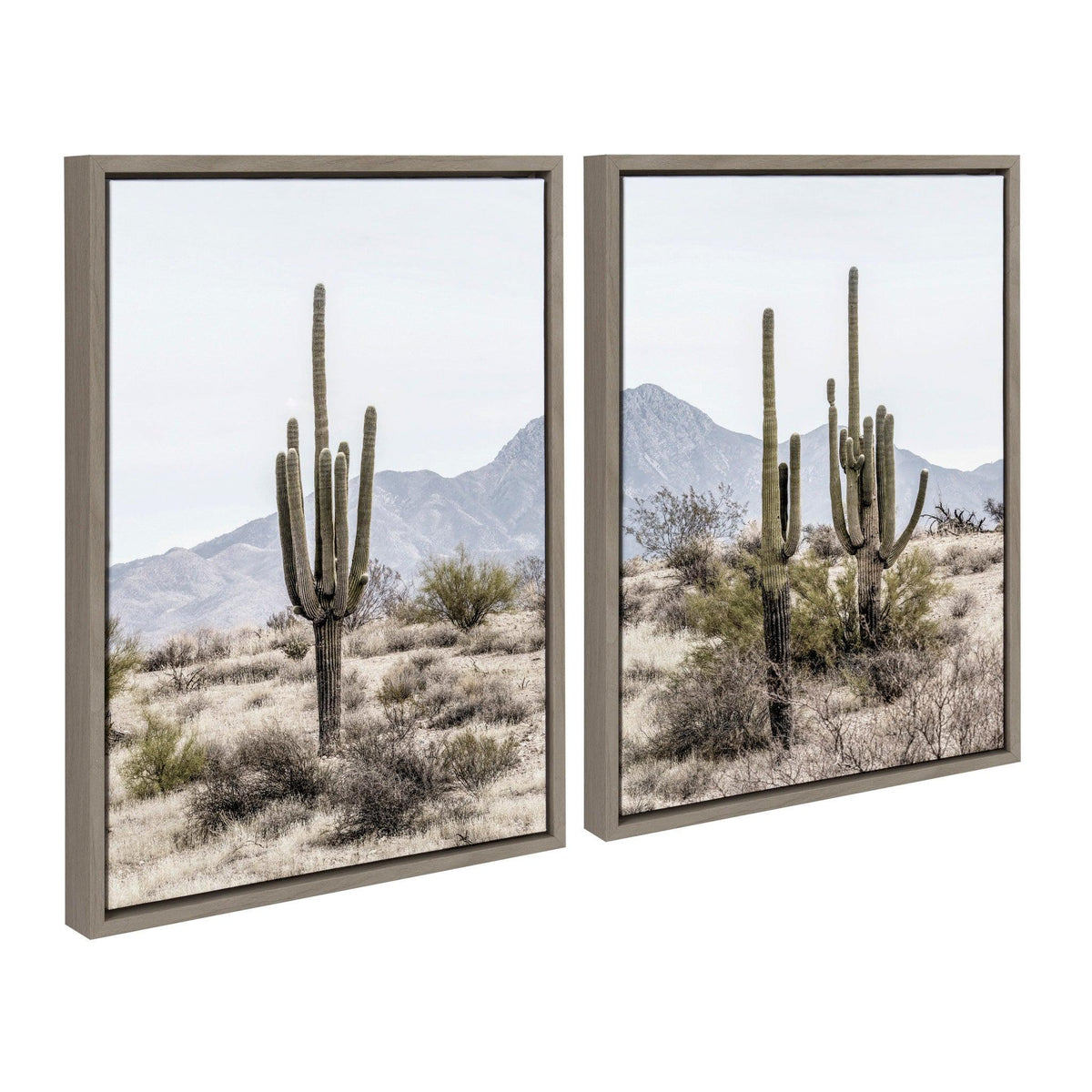 Sylvie Tall Saguaro Cacti Desert Mountain Framed Canvas Set by The Creative Bunch Studio