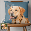Pet Photo Custom Dog Throw Pillow - 14"x14" / Pack 1