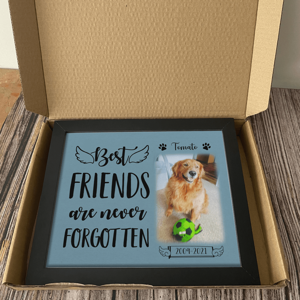 Best Friends Are Never Forgotten Dog Picture Frame