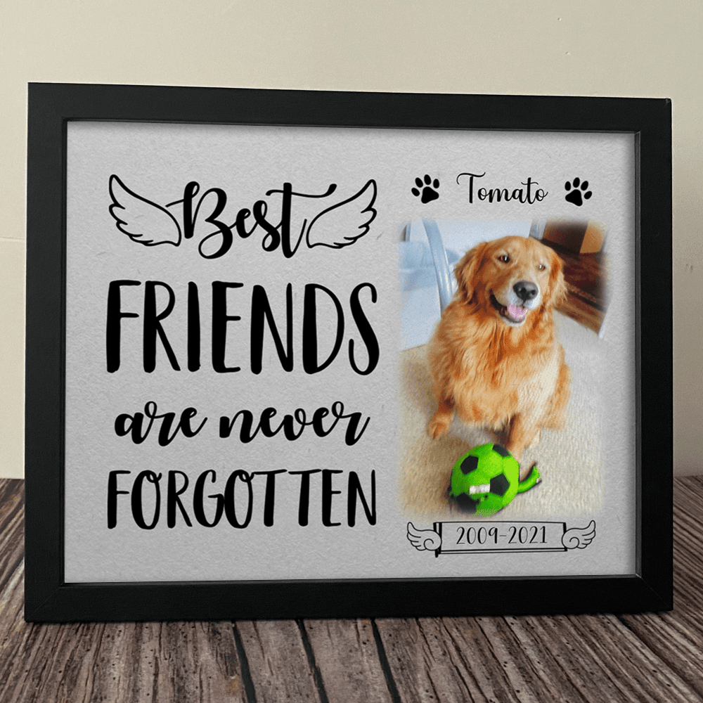Best Friends Are Never Forgotten Dog Picture Frame