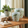 Green and White Chinoiserie Ceramic Planters (Set of 3)