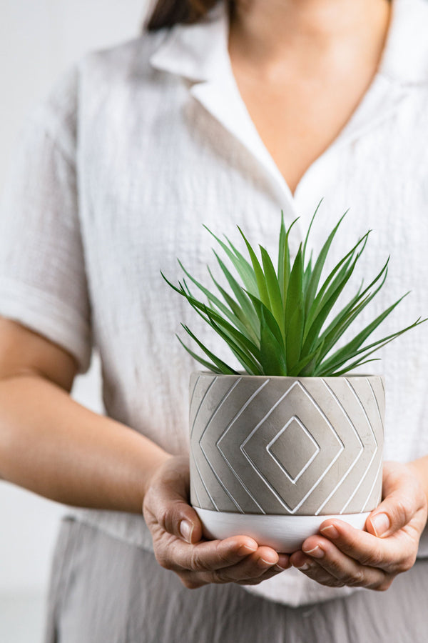 Artificial succulent plant in geometric patterned concrete pot 8