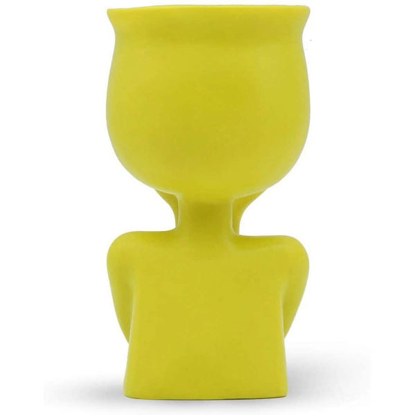 Greneric Character Portrait Flower Pot Resin Succulents Plant Pot