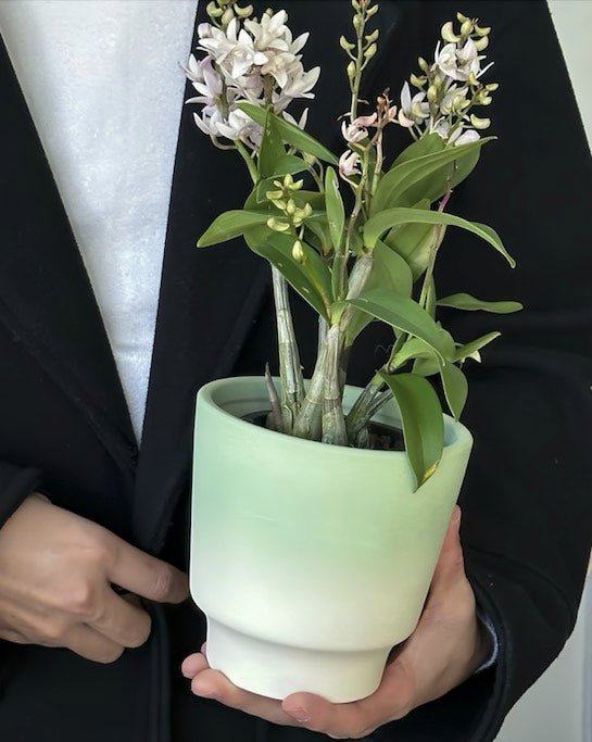 Handmade Macaron Flower Pots, Dopamine Indoor / Outdoor Garden Planter