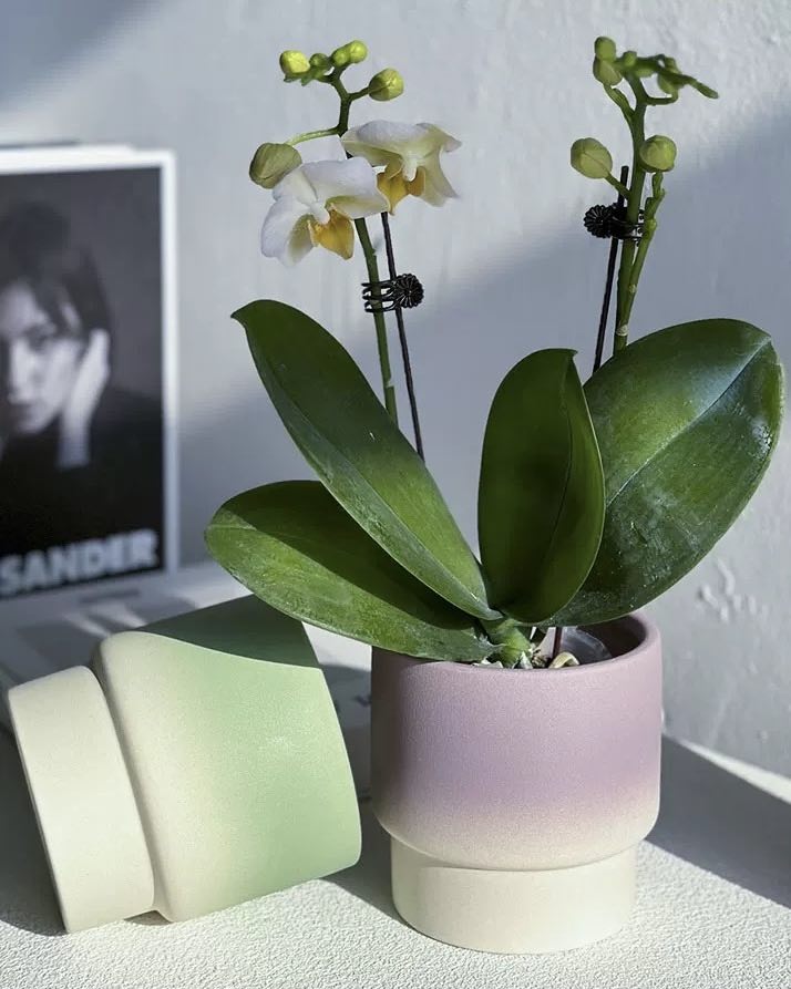 Handmade Macaron Flower Pots, Dopamine Indoor / Outdoor Garden Planter