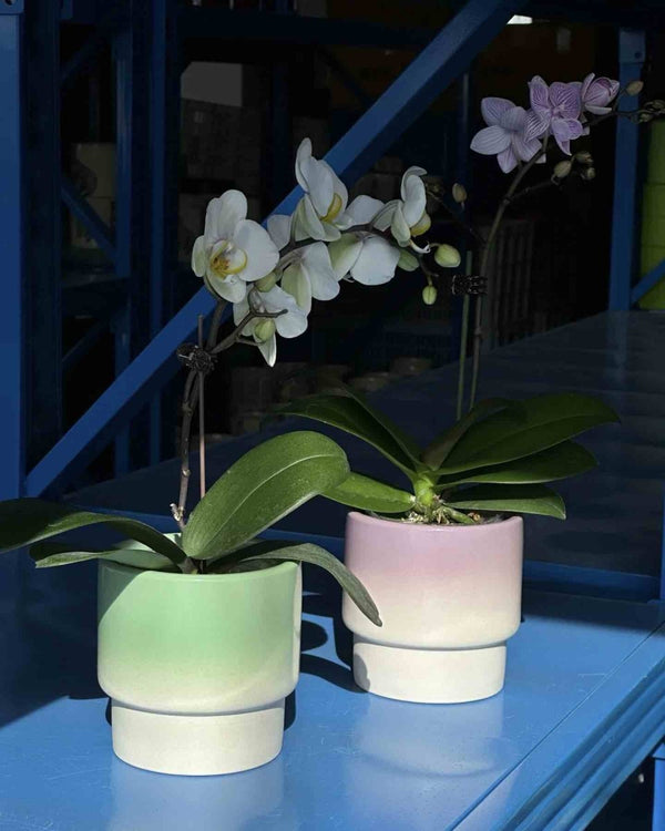 Handmade Macaron Flower Pots, Dopamine Indoor / Outdoor Garden Planter