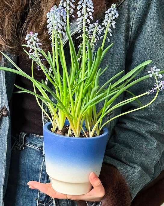 Handmade Macaron Flower Pots, Dopamine Indoor / Outdoor Garden Planter