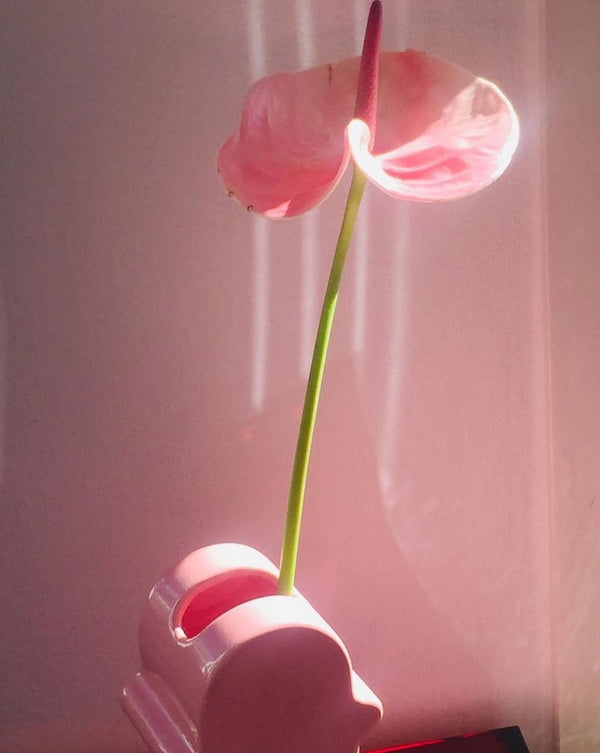 Handmade Memphis Ceramic Dick Vase | Decorative Shiva Flower Vase