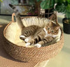 Handmade Pet House - S / n/a