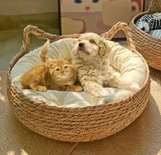 Handmade Pet House