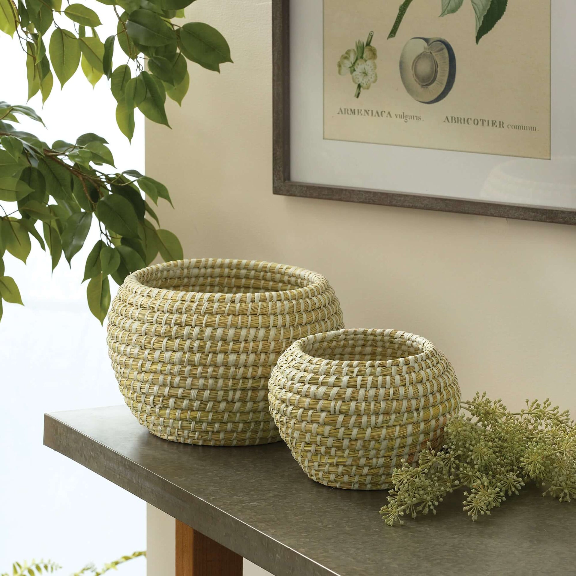 Handwoven Rivergrass Fruit Bowls (Set of 2)