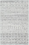 Constantin Gray Area Rug - 2' x 3' Rectangle