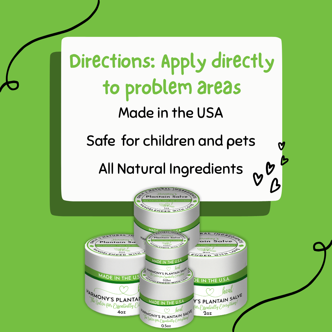 H.E.A.L.'s Plantain Salves