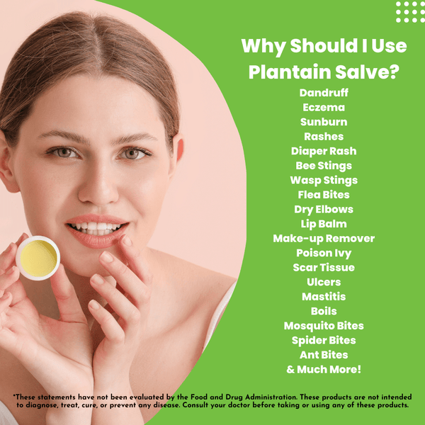 H.E.A.L.'s Plantain Salves