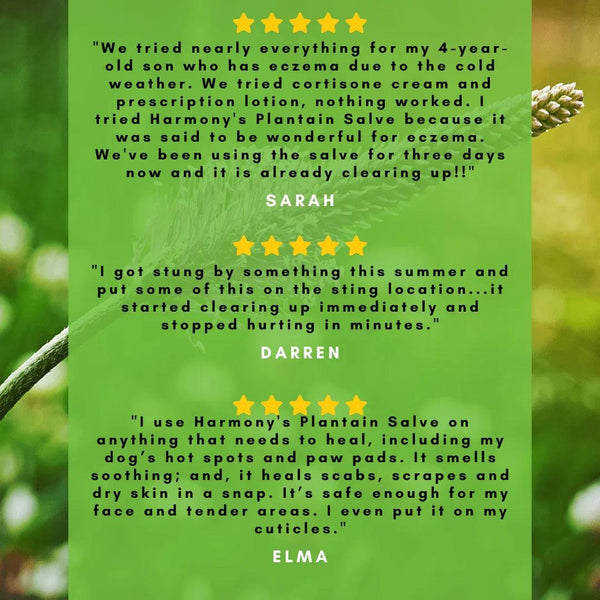 H.E.A.L.'s Plantain Salves - Gifts for You 'n Me