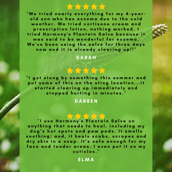 H.E.A.L.'s Plantain Salves