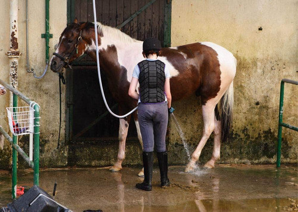 Magnesium Chloride Flakes - For Horses