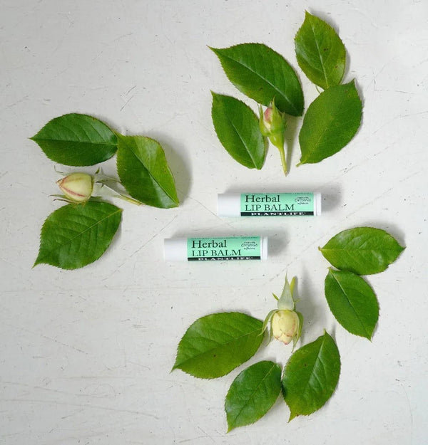 Herbal Lip Balm - Gifts for You 'n Me